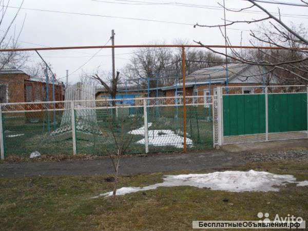 Два больших дома на одном участке