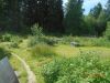 Участок 12 соток