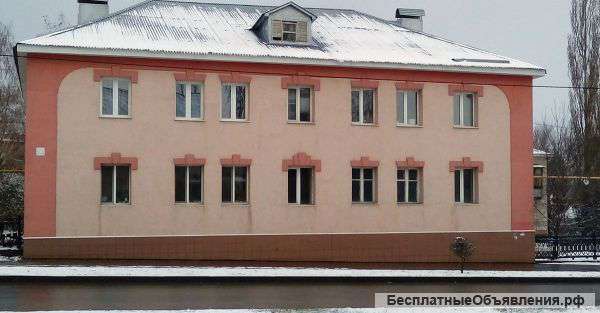 Профессиональные строительные и ремонтные работы