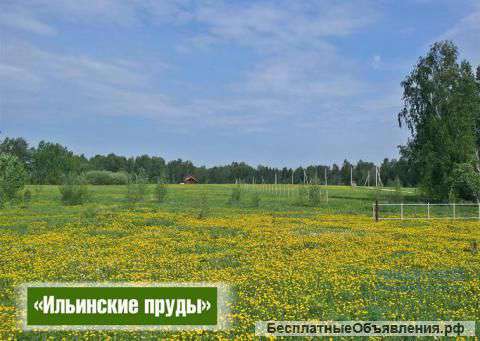 Земельный участок