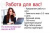 Специалист информационного отдела