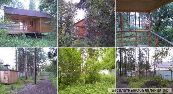 Дачу в Московской обл. Поварово