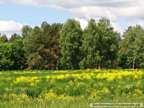 15 сот. в 7 км. от Десногогрска