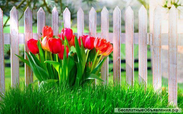 Участок ИЖС