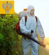 Служба дезинсекции: уничтожение клопов, тараканов, грызунов
