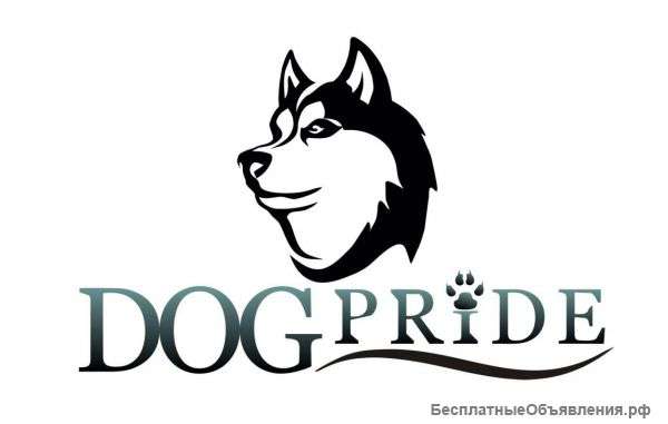 Кинологический тренинговый центр DogPride