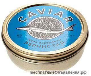 Продам черную икру