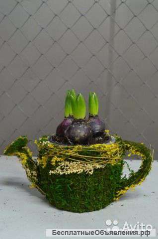 Гиацинт в лейке 1.3.5 шт KM-109