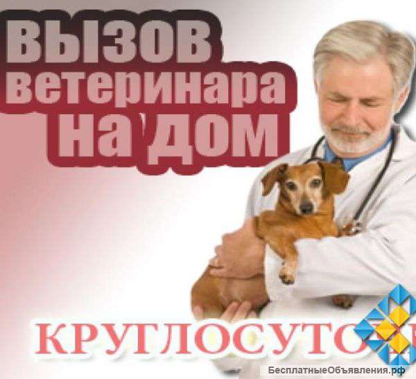 Услуги Ветеринара с выездом на дом