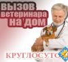 Услуги Ветеринара с выездом на дом