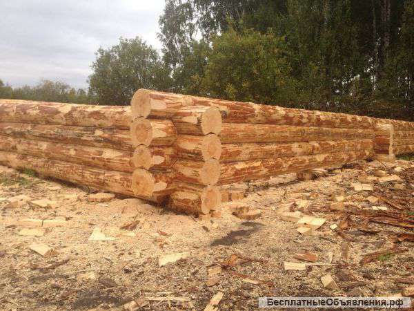 Срубы домов и бань