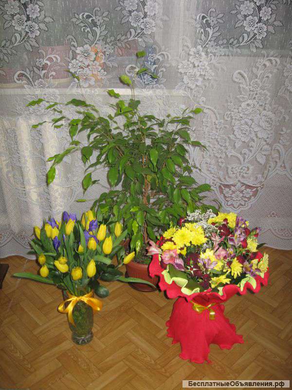 ЗЕМ уч с домом