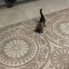 Коттедж в центре Дербышей