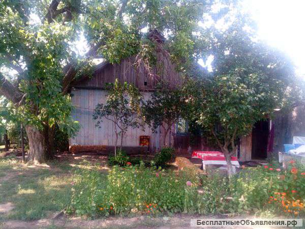 Дом в деревне