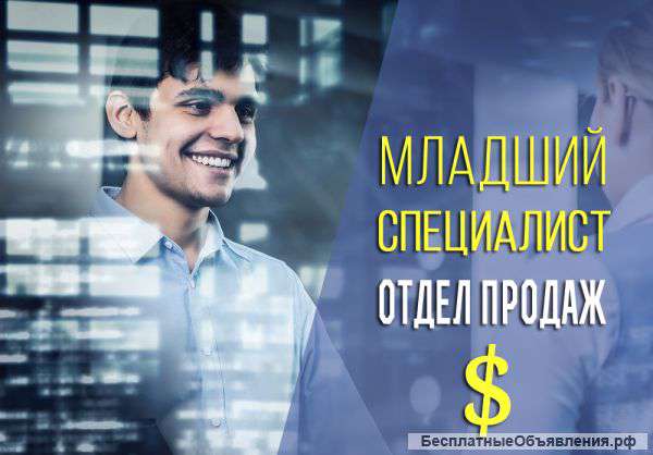Младший специалист по отделу продаж