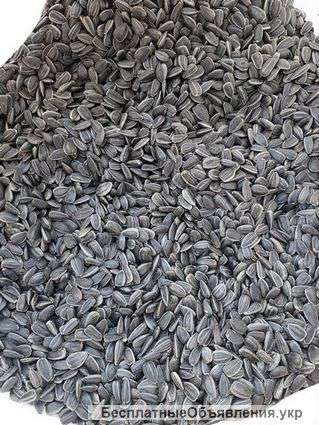 Кондитерского калиброванного подсолнуха