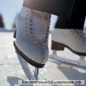 Скользящая добавка (POLYADDIT SLIP 04001)