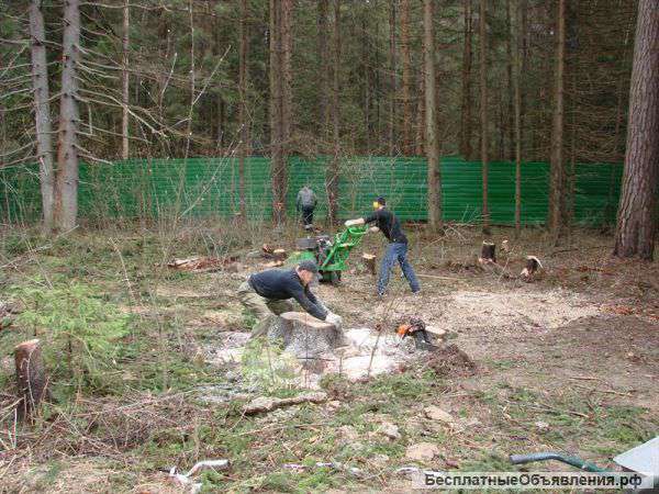 Расчистка участка. Вырубка деревьев. Снос строений.