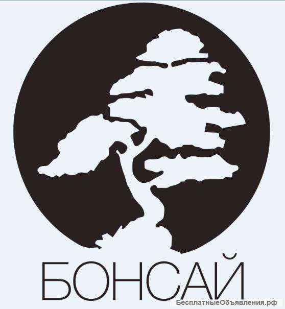 Архитектурная мастерская "БОНСАЙ"