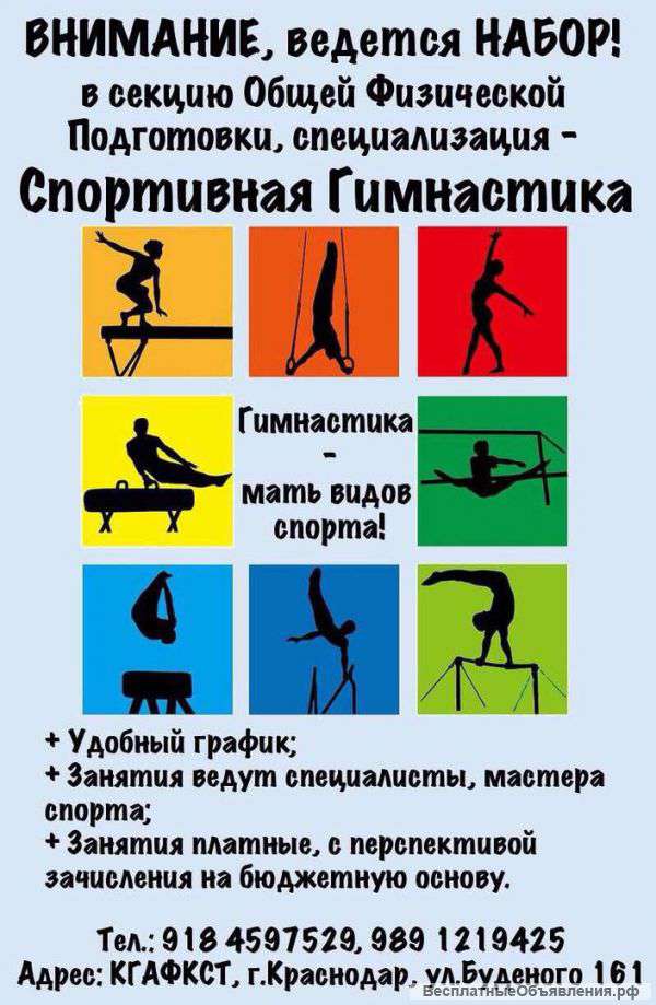 Спортивная гимнастика