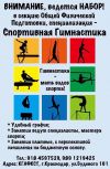 Спортивная гимнастика