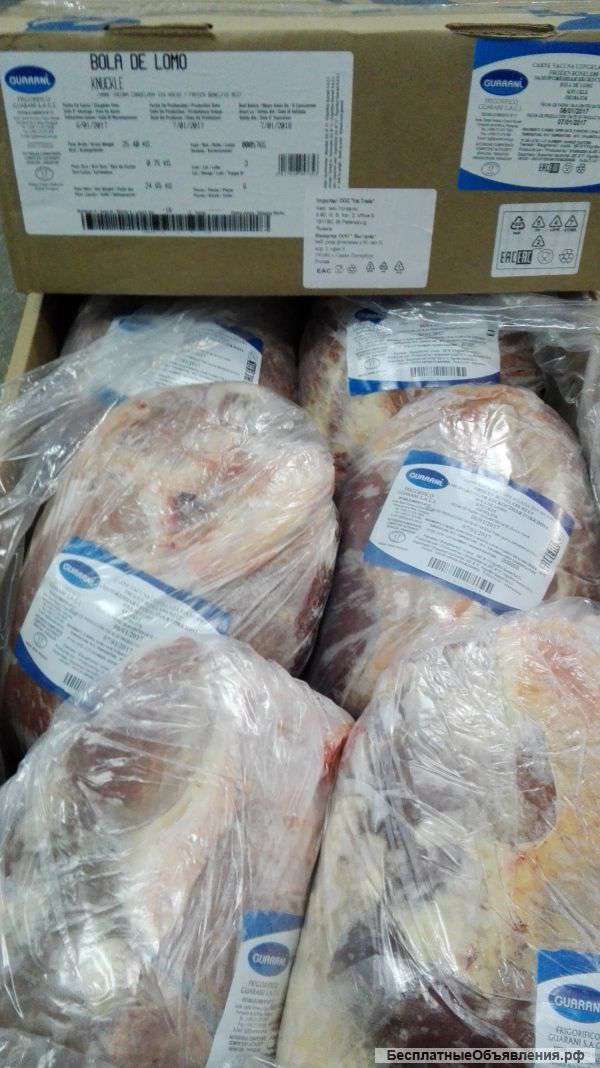 Мясо говядина, свинина импорт