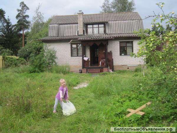 Дом в луге