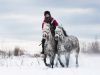 Занятия верховой ездой в поле. Фото с лошадьми
