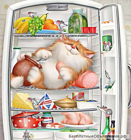 Ремонт холодильников на дому