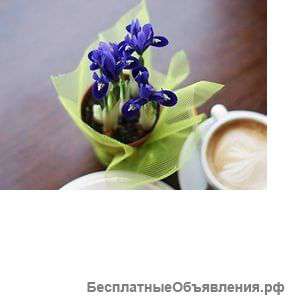 Ирисы в фетре 3.5.7.9 шт