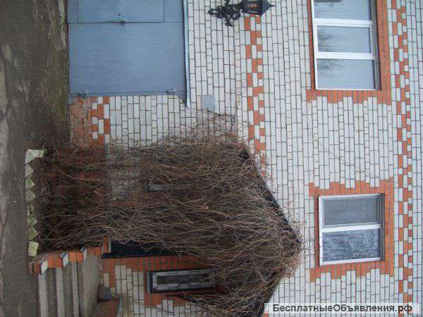 Обменяю дом