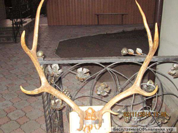 Подарочный предмет из натуральной кости