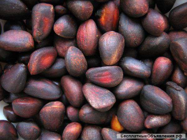 Кедровый орех от 1кг