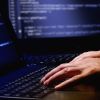 Senior Python Developer