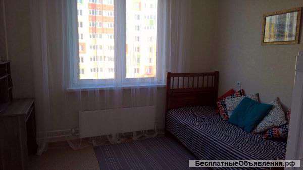 Сдам студию