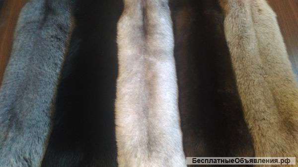 Шкуры песца