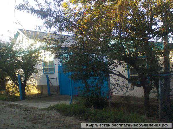 Дом в с. Ананьево