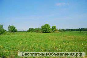 Земля под коммерцию