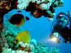 Снаряжение для дайвинга и подводной охоты