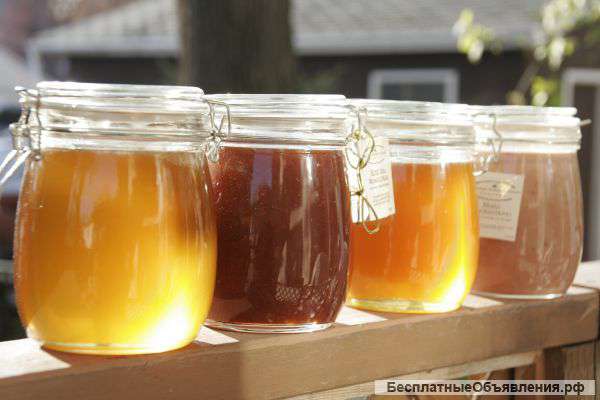 Мёд оптом от производителя