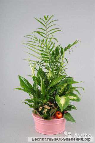 Композиция 18/50 KM-09