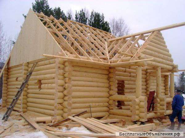 Бригада плотников. Срубить сруб, беседку, баню. Конопатка