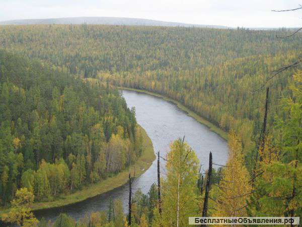 Трофейная рыбалка на Енисее и его притоках