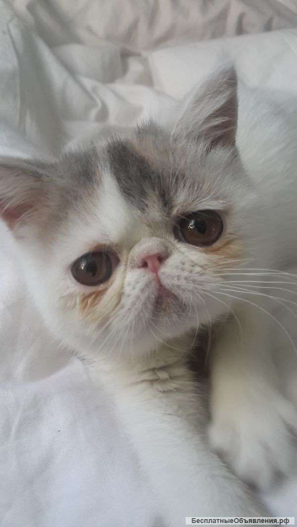 Красивее не бывает-эстремалка