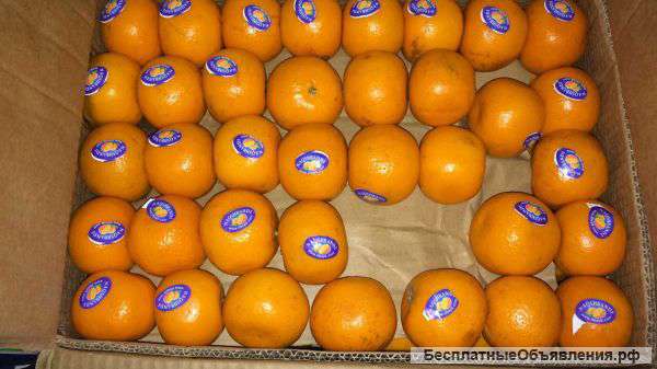 Овощи, фрукты, тушенка