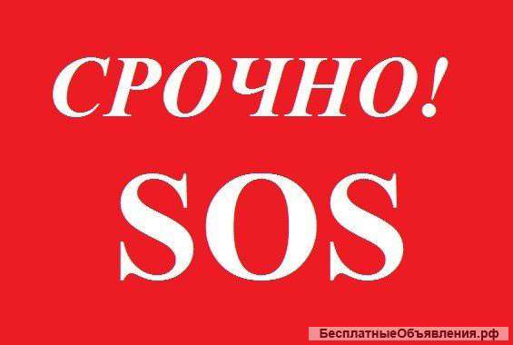 Требуются Админы для развитии группы в ВК