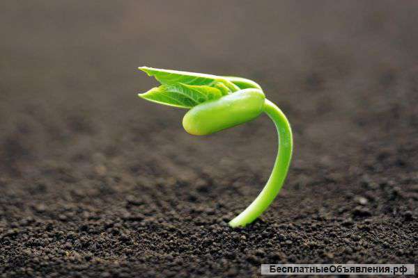 Удобрения. Продажа и доставка.