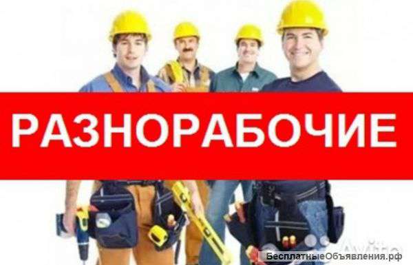Бригада разнорабочих-грузчиков, граждане РФ
