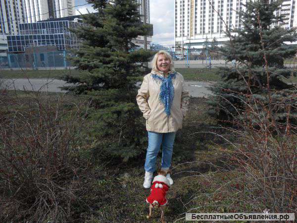 Беру собак на передержку