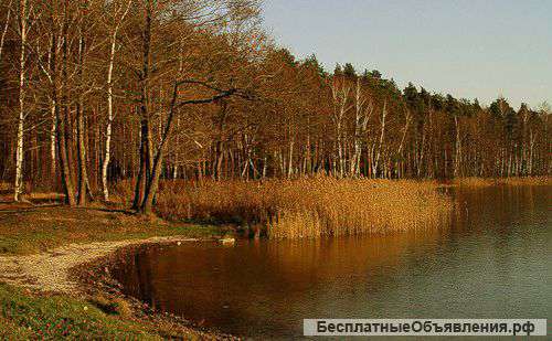 11 сот в Воскресенском районе